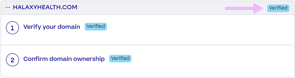 Domain-Verify-06.png